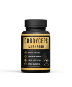 Cordyceps Mushrooms